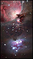 Star Ceiling se-rg022 de Robert Gendler