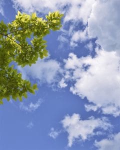 Open Sky Compositioon Saolta Arts 2021