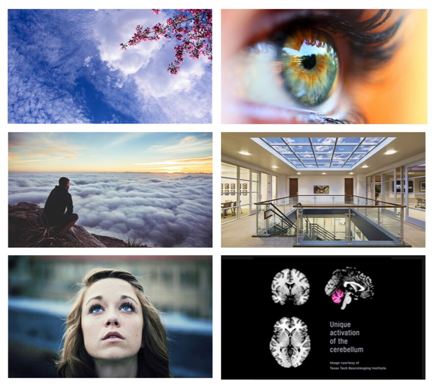 Art Cover RIPOS image only