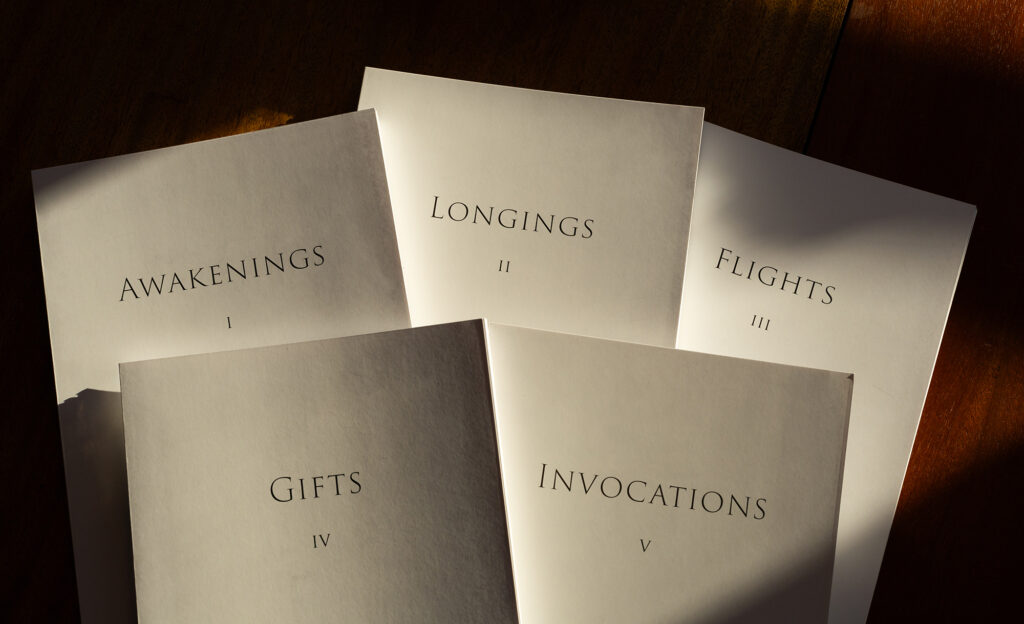 Enter Space Stories from the High Desert Bill Witherspoon VII