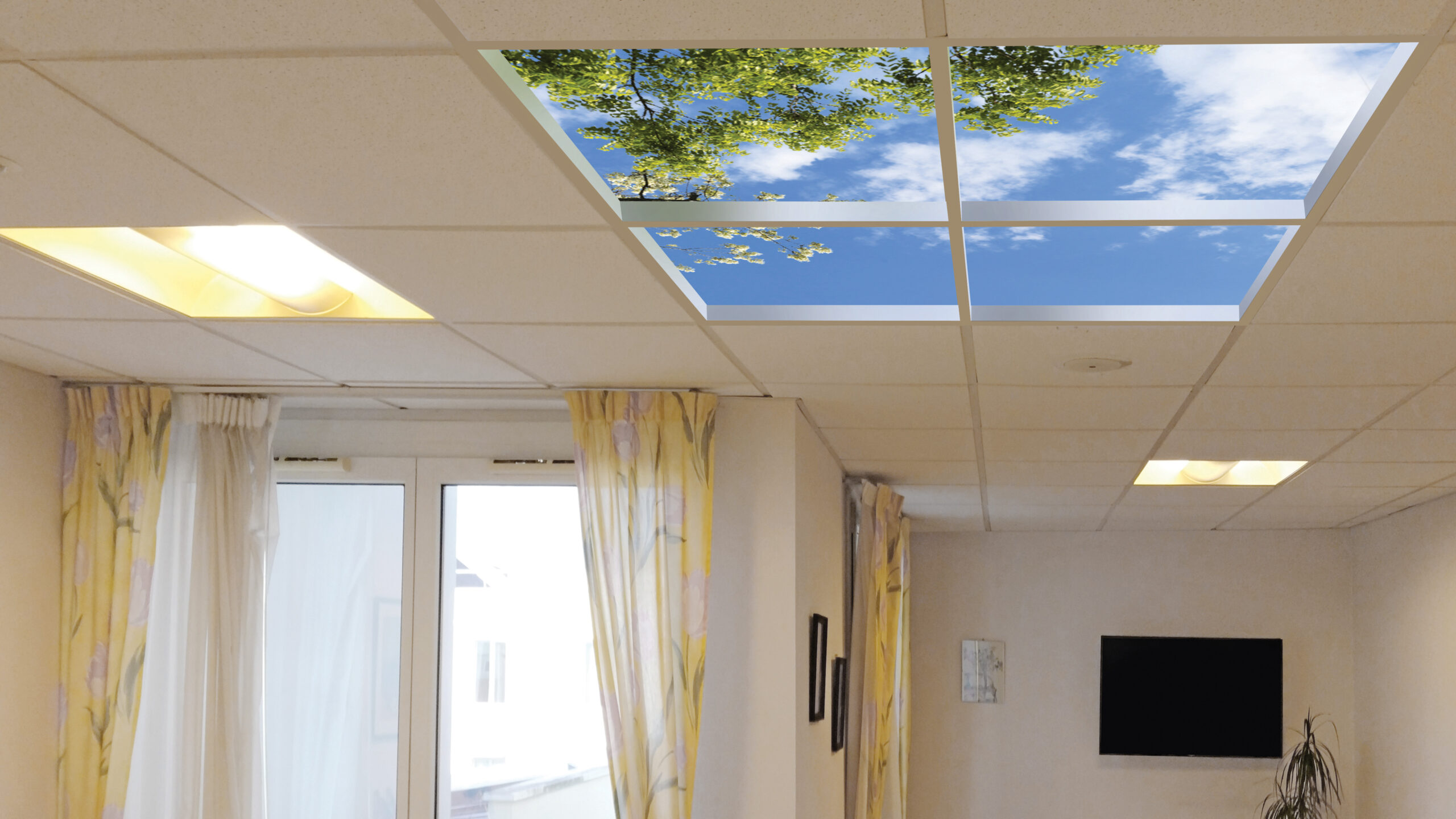 Beautiful spring sky overhead (Open Sky Composition).