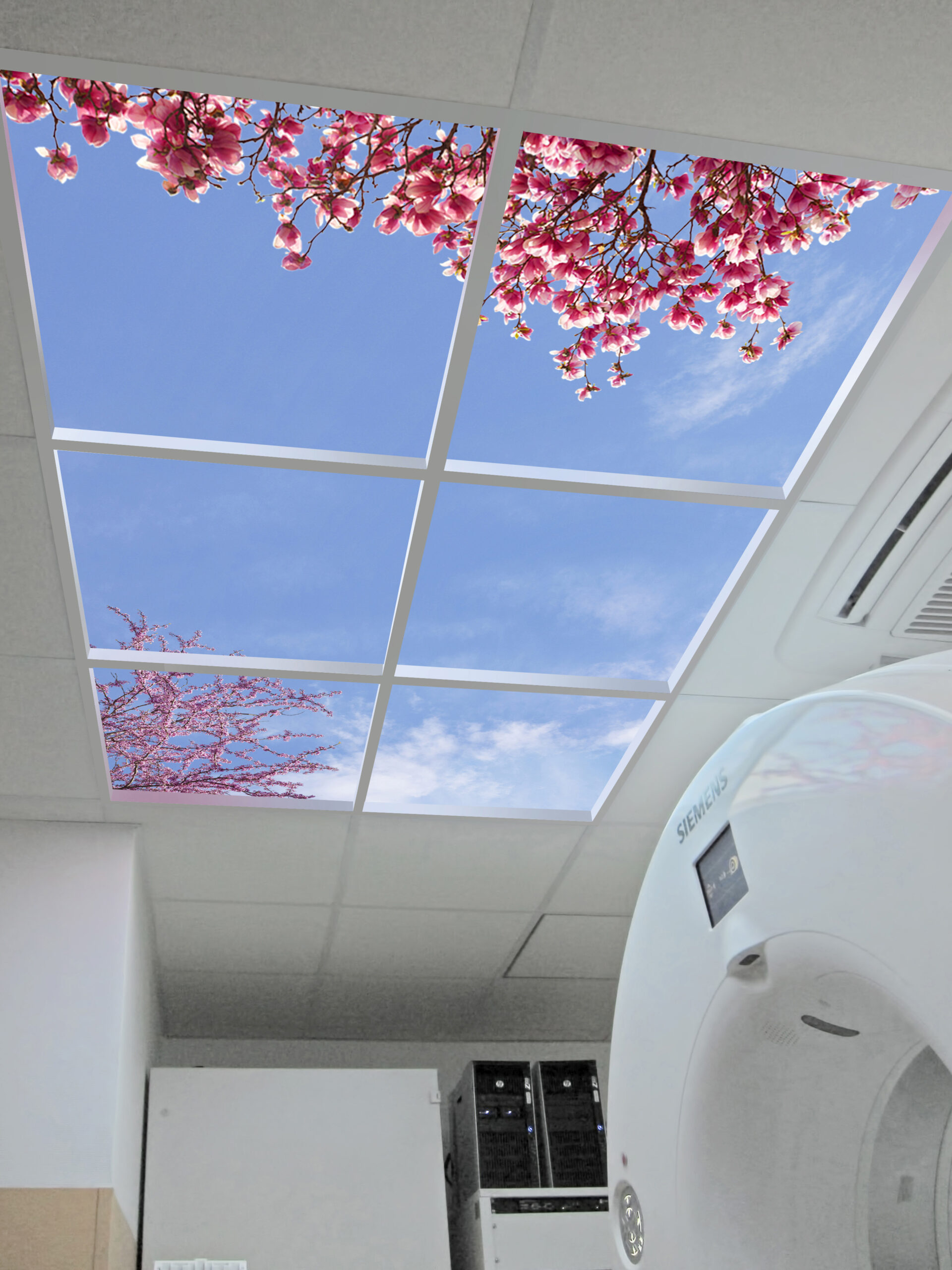 Close-up of photographic Open Sky Composition.