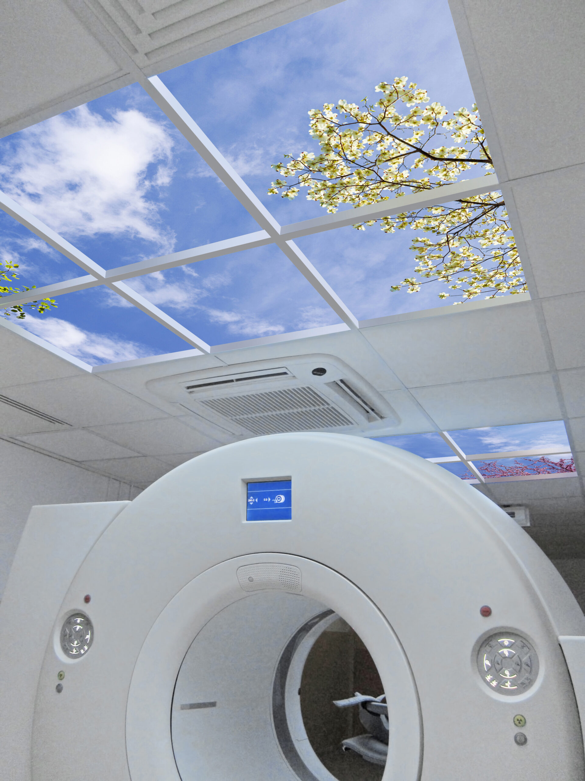 1.2m x 1.8 Luminous SkyCeiling (illusory overhead portal)