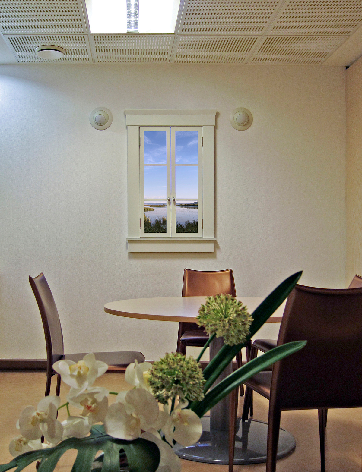 eScape Digital Cinema Virtual Window in patient lounge providing biophilic engagement and sensory-rich stimuli.